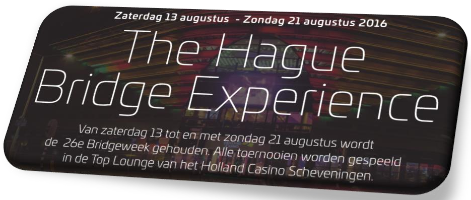 Logo The Hague Bridge Experience (SBS)