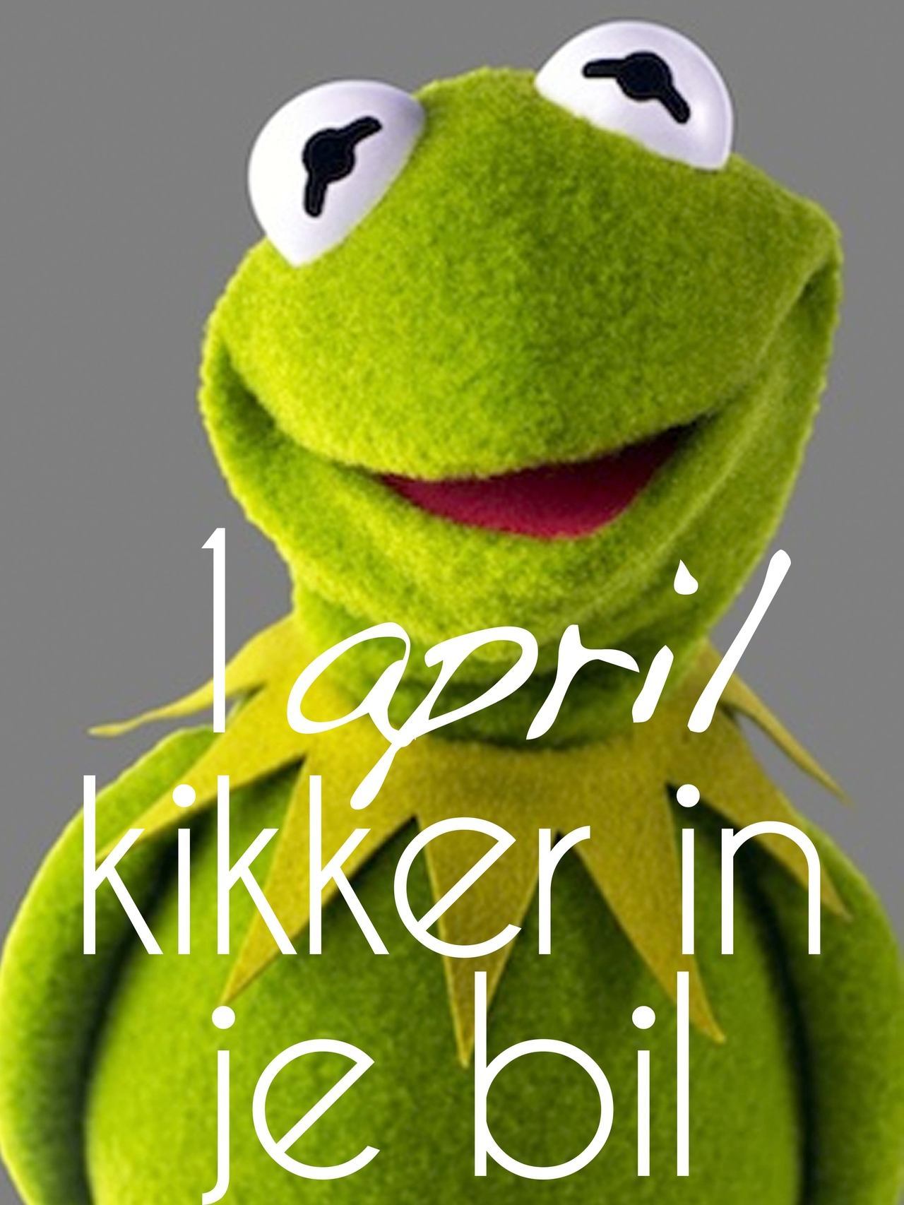 1 april kikker in je bil (Yoors via Google)